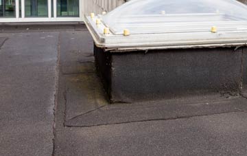 disadvantages of Eudon George flat roofs