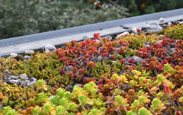 the cost of Eudon George green roof installation