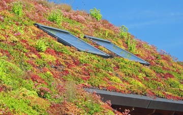 Eudon George living roof systems