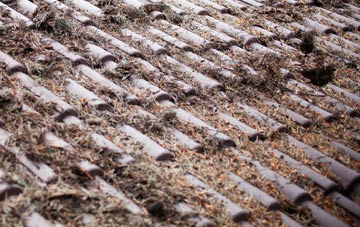 Eudon George roof cleaning companies