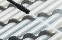 rated Eudon George roof cleaning companies